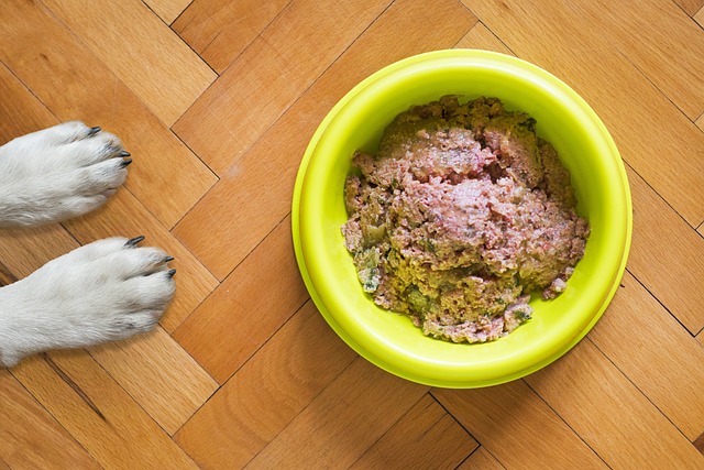 Fem populære hundefoder-mærker sammenlignet: Hvad er bedst for din hund?